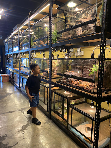 KHO ANIMALS ENTERPRISE