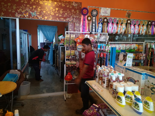 My Home Pet Care My Home Pet Care