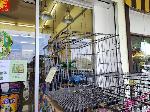 Smart Pet Shop - SWK (Moyan Branch) Smart Pet Shop - SWK (Moyan Branch)