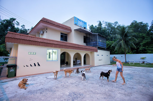 The Pets Hotel The Pets Hotel