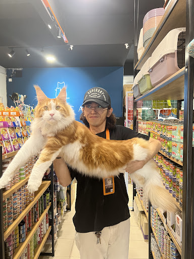 Royal Catty Pet Shop