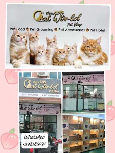 Cat world pet shop