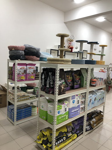 Yuan Bao Pet Shop元宝宠物店
