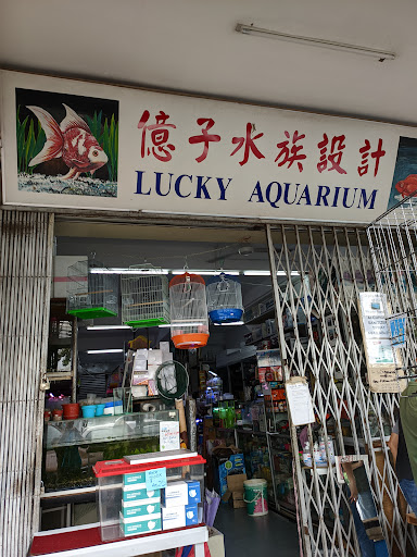 Lucky Aquarium