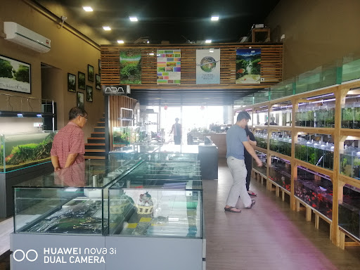 Spring Nature Aquascape Design