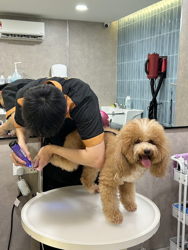 Wisma Pet Universe (Ampang)