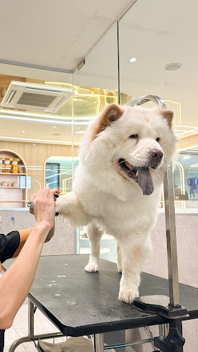 Pet Universe Starlux (Pet Hotel, Boarding and Grooming)