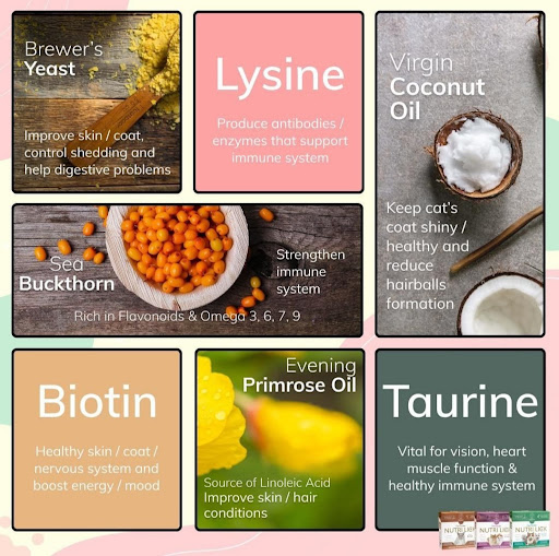 Nutri Lick Ampang - Pak Dinz