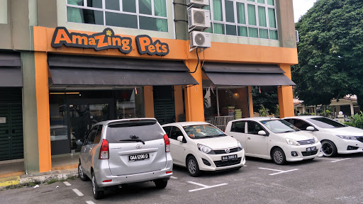 Amazing Pets