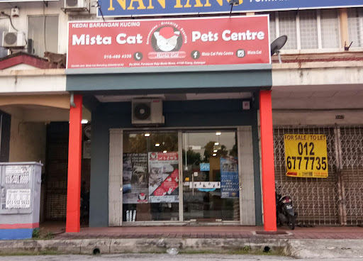 Mista Cat Mista Cat
