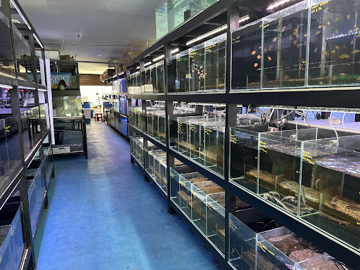 CKH Aquatic and Pet