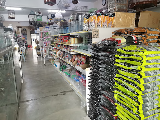 TL FISH&PET SHOP TL FISH&PET SHOP