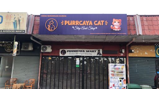 Purrcaya Cat ~Stop & Shop~ Purrcaya Cat ~Stop & Shop~