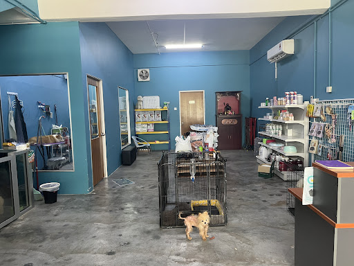 FnX pet shop峰喜宠物店 FnX pet shop峰喜宠物店