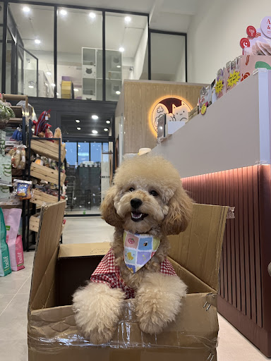 My Furry Friends Petshop My Furry Friends Petshop