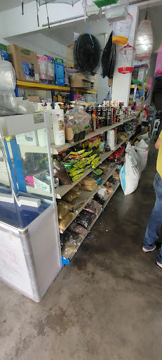 TENG FISH AND PET SHOP TENG FISH AND PET SHOP