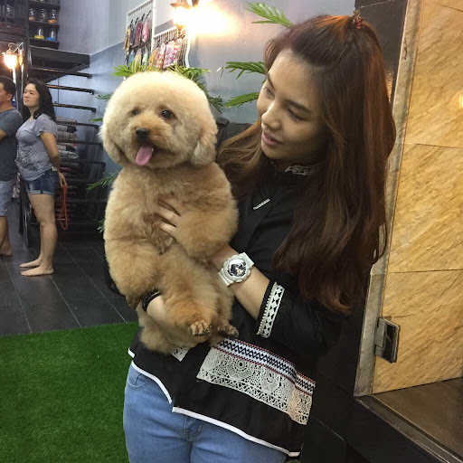 Leowon Pets Galaxy Leowon Pets Galaxy