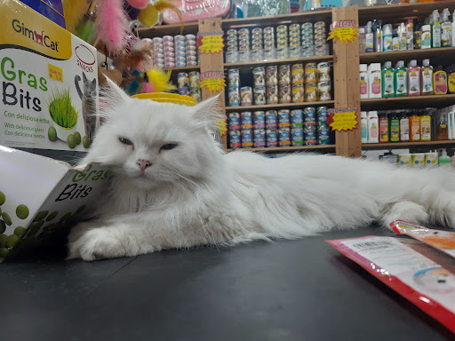 Mr Pet Store Mr Pet Store