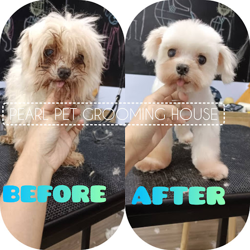 Pearl Pet Grooming House Pearl Pet Grooming House