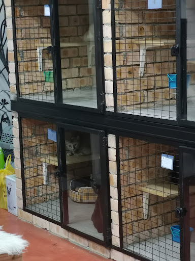 Gimmo Petshop