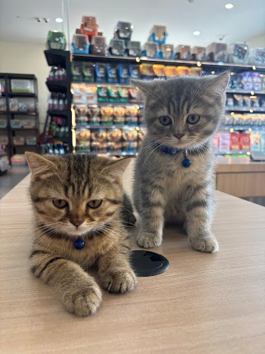 Pets Mart Muar
