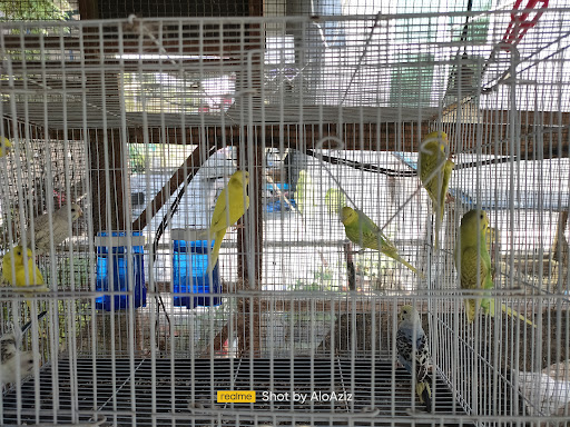 Aziz pet & farm