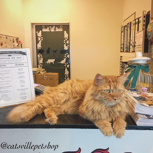 Catsville Pet Shop Catsville Pet Shop
