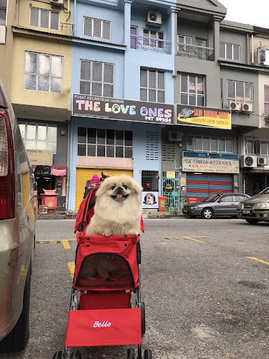 The Love Ones Pet House The Love Ones Pet House
