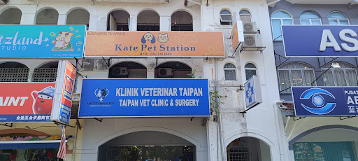 Kate Pet Station Kate Pet Station