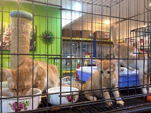 J Jay Pet Station J Jay Pet Station
