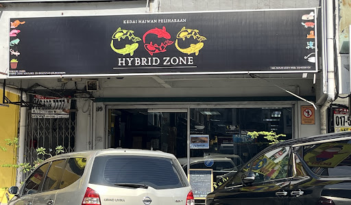 Makkau Reptile • Hybrid Zone Makkau Reptile • Hybrid Zone