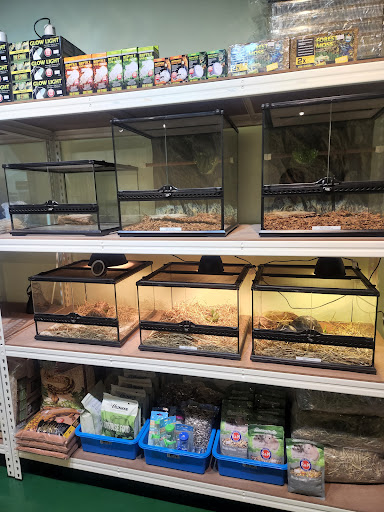 Scalesnfur Exotic Pet Shop (SNF) Scalesnfur Exotic Pet Shop (SNF)