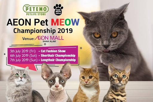 Cat Groomer & Hotel Shah Alam. Best Friends Forever.