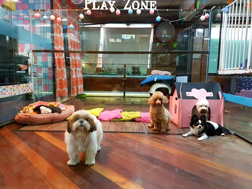 88 Pets Mart Sdn. Bhd.