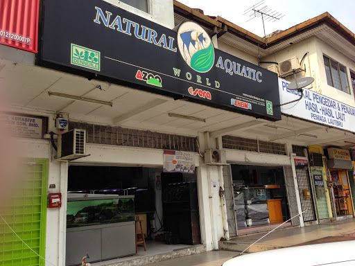Natural Aquatic World | Aquascape & Maintenance Natural Aquatic World | Aquascape & Maintenance