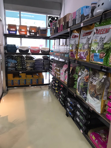 Papa Kitty Pet Shop Hotel Jenjarom