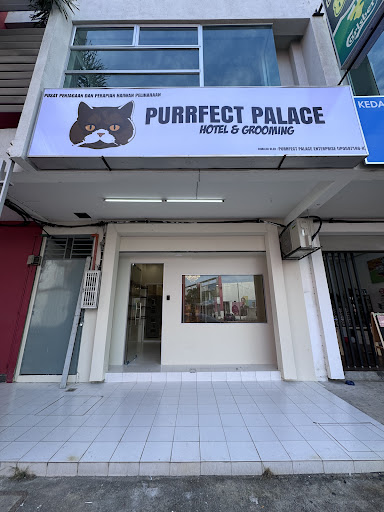 Purrfect Palace Hotel & Grooming