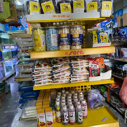 Akuarium Saujana Bukit Rahman Putra Sungai Buloh