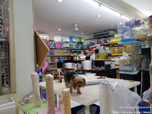 Irene Aquarium & Pet Sdn. Bhd.