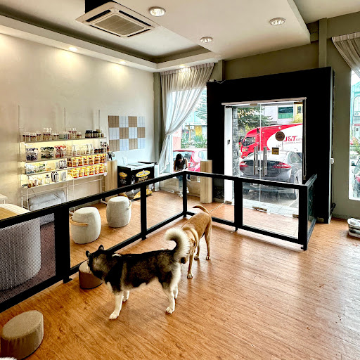 Paws Day Pet House
