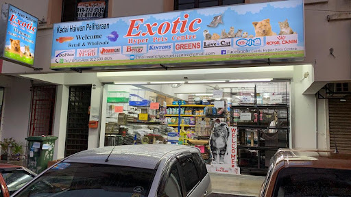 Exotic Hyper Pets Centre - Kota Damansara Exotic Hyper Pets Centre - Kota Damansara