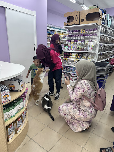 Cats Hometown - Pet Shop, Cat Food & Litter @ Meru, Klang