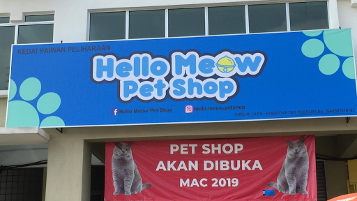 Muffin Cat | Cat Shop, Cat Grooming, Cat Hotel