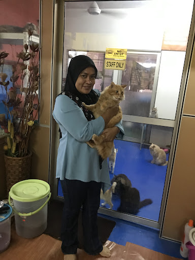 Hotel Kucing Momo Taman Mas