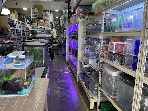 Vwin Aquarium & Pets Trading Vwin Aquarium & Pets Trading