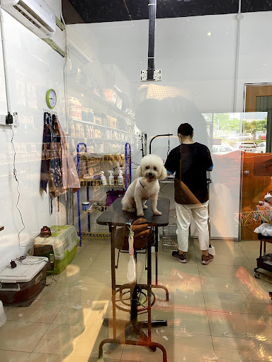 LeToro Grooming LeToro Grooming