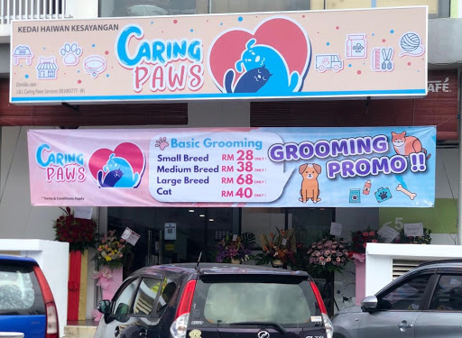 Caring Paws Caring Paws
