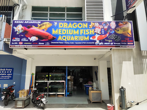 DRAGON MEDIUM FISH AQUARIUM
