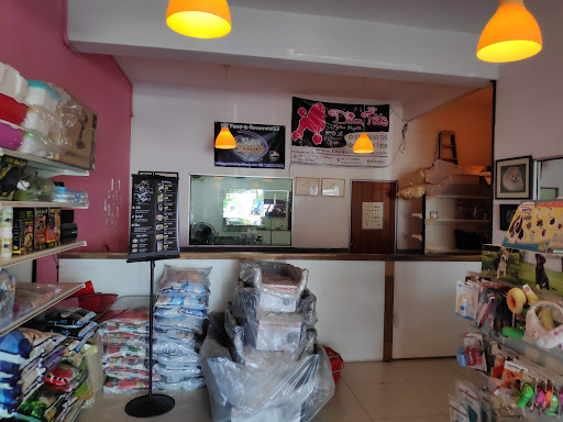 Diva Pets . Grooming Salon