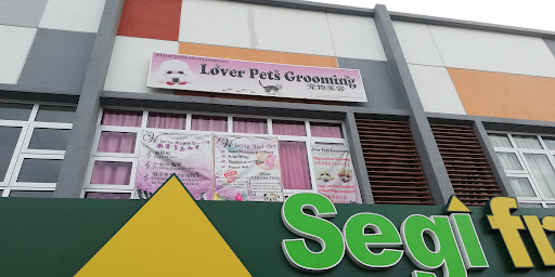 Lover Pets Grooming